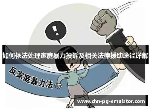 如何依法处理家庭暴力投诉及相关法律援助途径详解