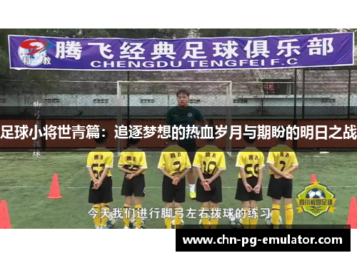 足球小将世青篇：追逐梦想的热血岁月与期盼的明日之战