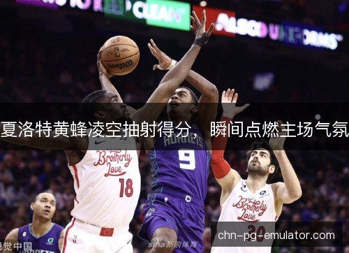 夏洛特黄蜂凌空抽射得分,瞬间点燃主场气氛 夏洛特黄蜂凌空抽射得分,瞬间点燃主场气氛
